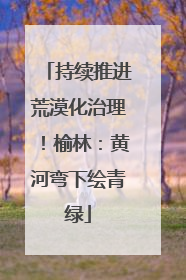 持续推进荒漠化治理！榆林：黄河弯下绘青绿