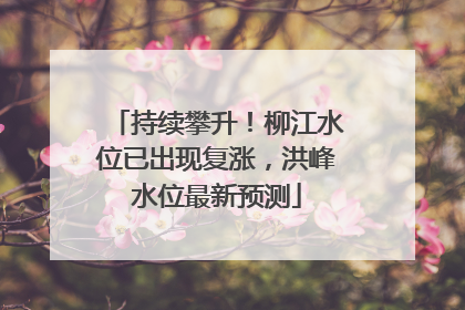 持续攀升！柳江水位已出现复涨，洪峰水位最新预测