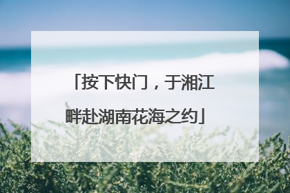 按下快门，于湘江畔赴湖南花海之约