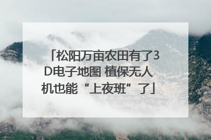 松阳万亩农田有了3D电子地图 植保无人机也能“上夜班”了