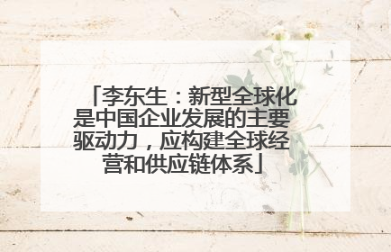 李东生：新型全球化是中国企业发展的主要驱动力，应构建全球经营和供应链体系