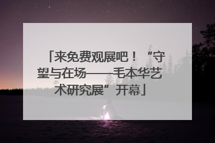 来免费观展吧！“守望与在场——毛本华艺术研究展”开幕