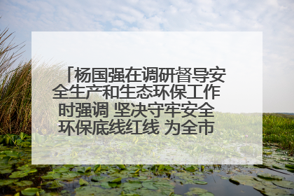 杨国强在调研督导安全生产和生态环保工作时强调 坚决守牢安全环保底线红线 为全市经济社会高质量发展提供坚强保障