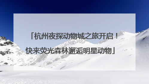杭州夜探动物城之旅开启！快来荧光森林邂逅明星动物