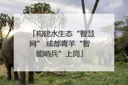 构建水生态“智慧网” 成都青羊“智能哨兵”上岗