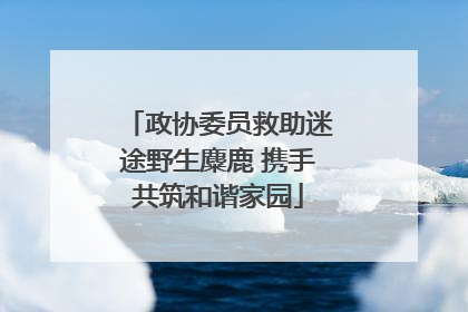 政协委员救助迷途野生麋鹿 携手共筑和谐家园