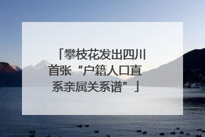 攀枝花发出四川首张“户籍人口直系亲属关系谱”