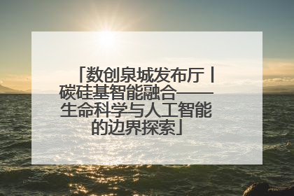 数创泉城发布厅丨碳硅基智能融合——生命科学与人工智能的边界探索