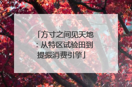 方寸之间见天地：从特区试验田到提振消费引擎