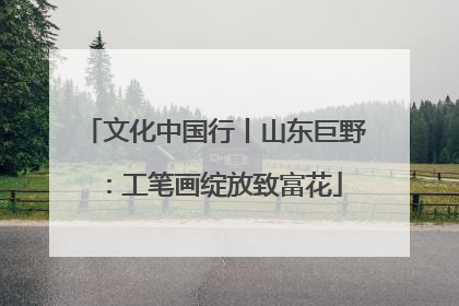 文化中国行丨山东巨野：工笔画绽放致富花