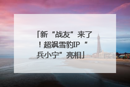 新“战友”来了！超飒雪豹IP“兵小宁”亮相