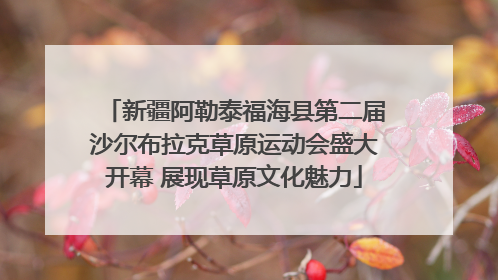 新疆阿勒泰福海县第二届沙尔布拉克草原运动会盛大开幕 展现草原文化魅力