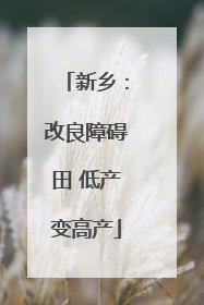 新乡：改良障碍田 低产变高产