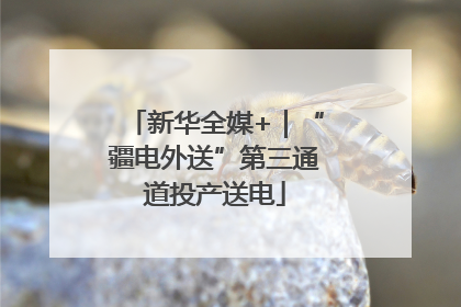 新华全媒+｜“疆电外送”第三通道投产送电