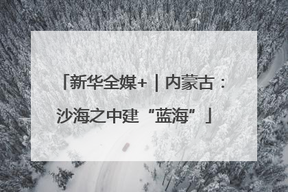 新华全媒+｜内蒙古：沙海之中建“蓝海”