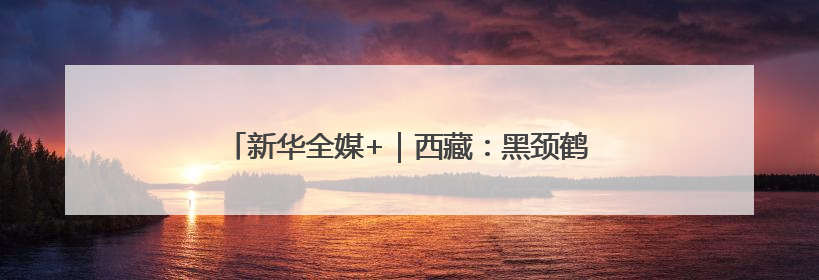 新华全媒+｜西藏：黑颈鹤家族高原湿地喜添“萌宝”