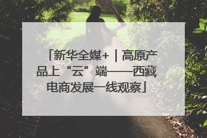 新华全媒+｜高原产品上“云”端——西藏电商发展一线观察