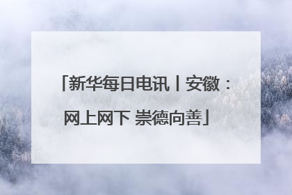 新华每日电讯丨安徽：网上网下 崇德向善