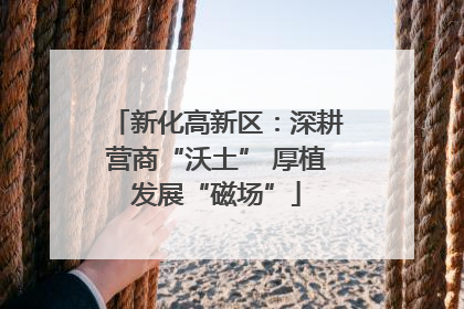 新化高新区：深耕营商“沃土” 厚植发展“磁场”