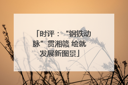 时评：“钢铁动脉”贯湘赣 绘就发展新图景