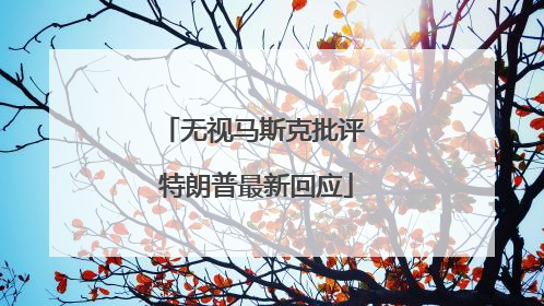 无视马斯克批评 特朗普最新回应