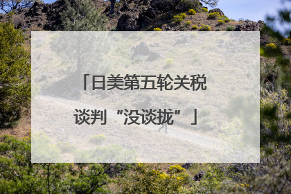 日美第五轮关税谈判“没谈拢”