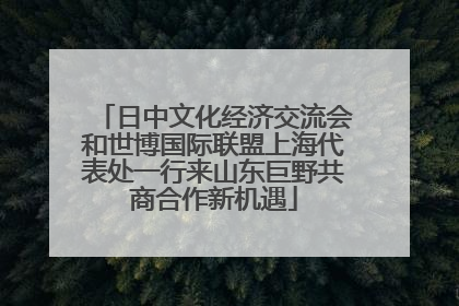 日中文化经济交流会和世博国际联盟上海代表处一行来山东巨野共商合作新机遇