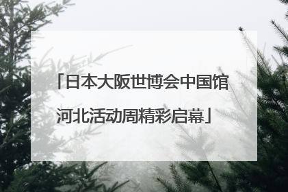 日本大阪世博会中国馆河北活动周精彩启幕