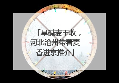 旱碱麦丰收，河北沧州带着麦香进京推介