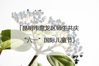 昆明市盘龙区师生共庆“六一”国际儿童节
