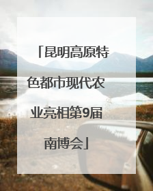 昆明高原特色都市现代农业亮相第9届南博会