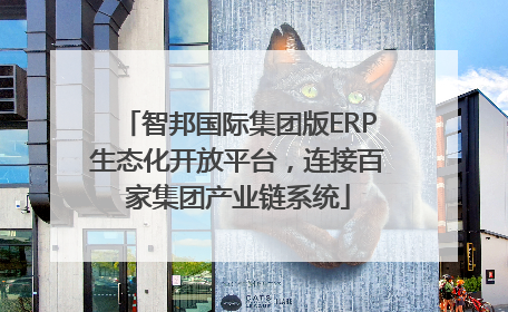 智邦国际集团版ERP生态化开放平台，连接百家集团产业链系统