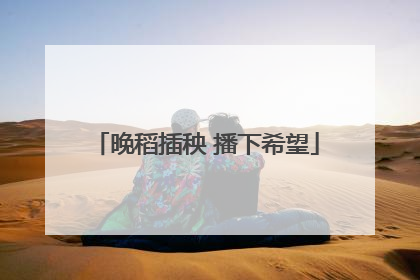 晚稻插秧 播下希望