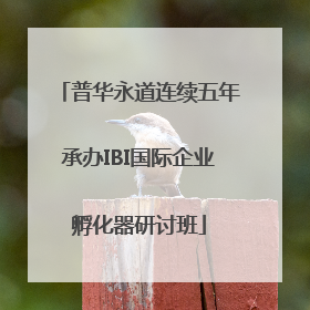 普华永道连续五年承办IBI国际企业孵化器研讨班