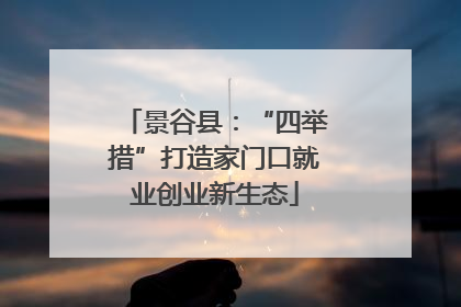 景谷县：“四举措”打造家门口就业创业新生态