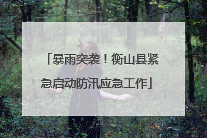 暴雨突袭！衡山县紧急启动防汛应急工作