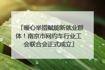 暖心举措赋能新就业群体！南京市网约车行业工会联合会正式成立