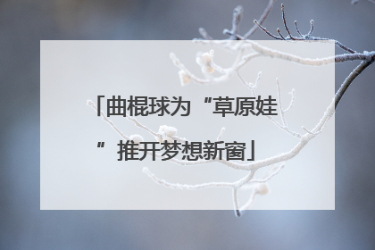 曲棍球为“草原娃”推开梦想新窗