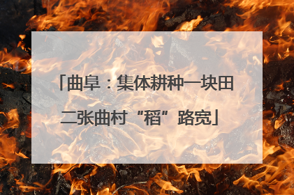 曲阜：集体耕种一块田 二张曲村“稻”路宽