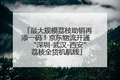 最大规模荔枝助销再添一码！京东物流开通“深圳-武汉-西安” 荔枝全货机航线