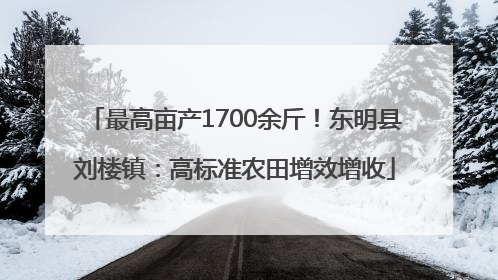 最高亩产1700余斤！东明县刘楼镇：高标准农田增效增收