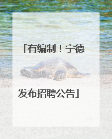 有编制！宁德发布招聘公告
