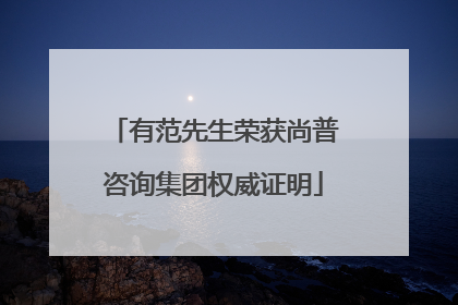 有范先生荣获尚普咨询集团权威证明