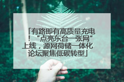 有路即有高质量充电！“点亮东台一张网”上线，源网荷储一体化论坛聚焦低碳转型