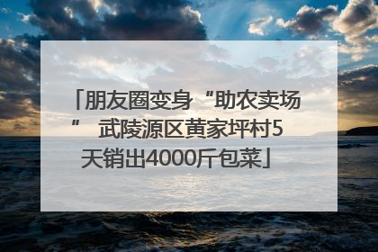 朋友圈变身“助农卖场” 武陵源区黄家坪村5天销出4000斤包菜
