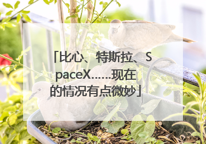 比心、特斯拉、SpaceX……现在的情况有点微妙