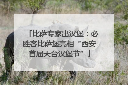 比萨专家出汉堡：必胜客比萨堡亮相“西安首届天台汉堡节”