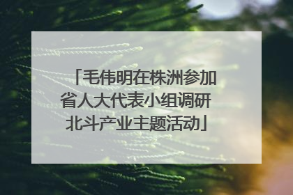 毛伟明在株洲参加省人大代表小组调研北斗产业主题活动