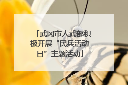 武冈市人武部积极开展“民兵活动日”主题活动
