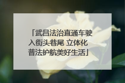 武昌法治直通车驶入街头巷尾 立体化普法护航美好生活